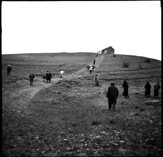 პროგრამა